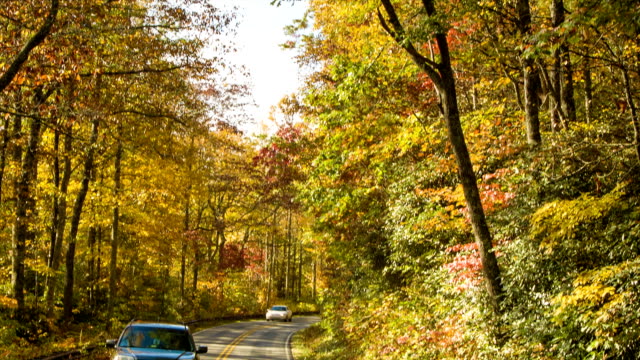 Vehicles-Driving-in-Autumn-Colored-Forest-in-North-Carolina-Mountains