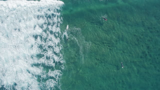 Surfers-southern-Australia