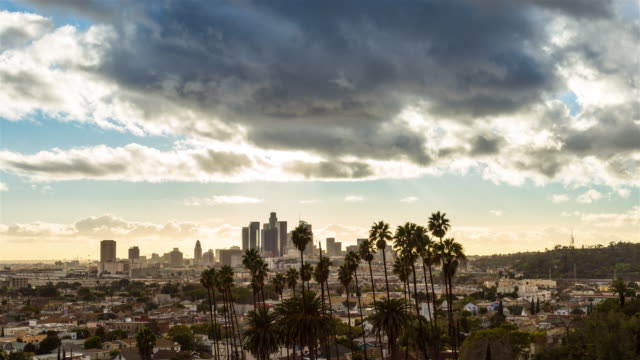 Schöne-Innenstadt-von-Los-Angeles-und-Palmen-Bäume-Timelapse