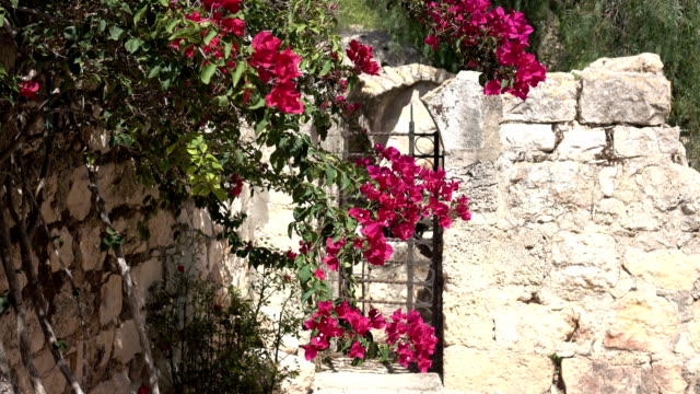 Flores-colgando-frente-a-la-puerta-en-patio-de-iglesia