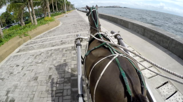 Coaching-horse-carriage