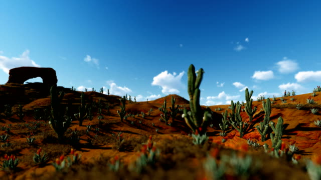 Woman-Running-in-the-Desert-with-Saguaro-Cactus-against-beautiful-Sky,-camera-panning,-4K