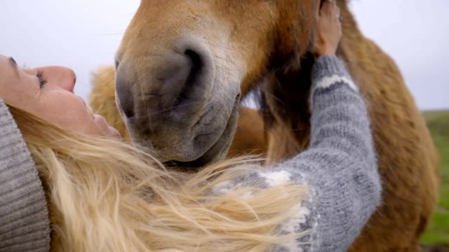 Blond-hair-girl-in-Iceland-petting-Icelandic-horse-in-green-meadow.-Shot-in-Springtime,-overcast-sky,-woman-wearing-Icelandic-grey-wool-pullover.-People-travel-animal-affection-concept--4K