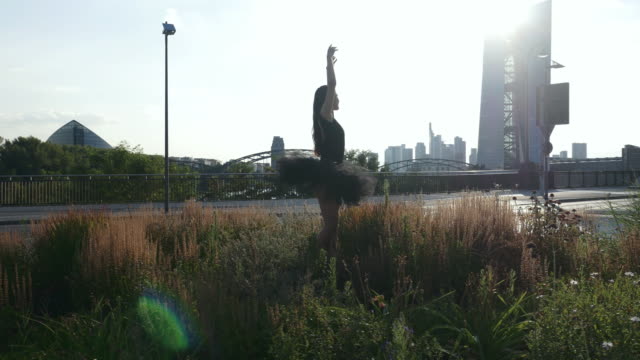 Ballerina-Dancing-in-a-Roundabout