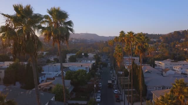 Bonito-barrio-de-Los-Ángeles-con-palmas-larga-por-el-lado-de-la-carretera.