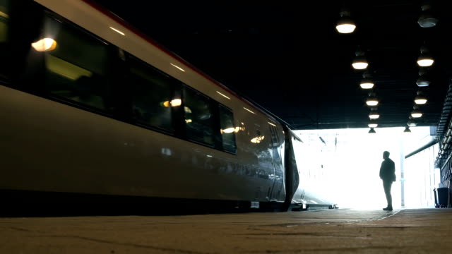 Tren-llega-a-una-plataforma-de-la-estación.