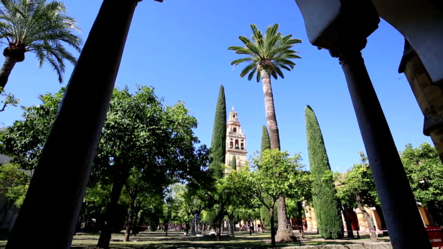 Inside-the-mezquita-(a-surprising-mixture-of-mosque-and-cathedral)-in-Cordoba,-Spain.-A-big-courtyard-with-orange-trees-and-cypresses.-Bell-tower-in-the-background.