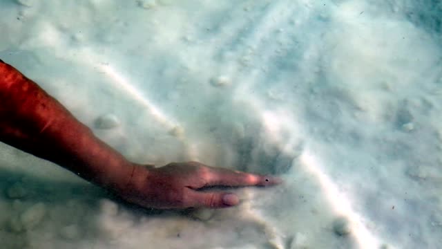 Sal-del-mar-muerto