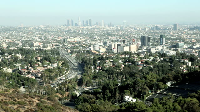 Hollywood-Hills