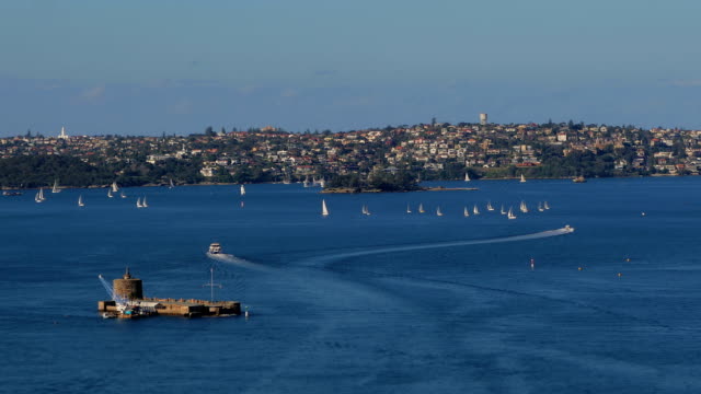 Regatta,-Sydney-Harbour,-Fort-Denison-timelapse