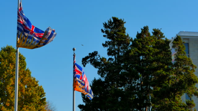 4K-British-Columbia-Flags,-Canada-Province
