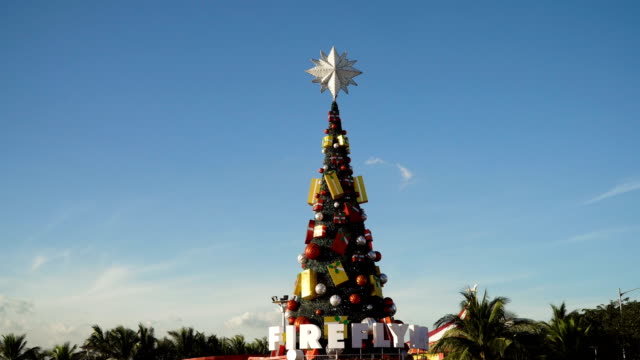 Beautiful-Christmas-Tree