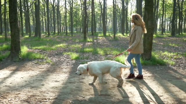 Girl-with-dog-walking-in-park-in-one-spring-day,-slow-motion