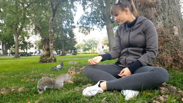 CLOSE-UP:-Wild-squirrel-takes-food-from-girl's-hands-in-Boston-Common-park,-USA