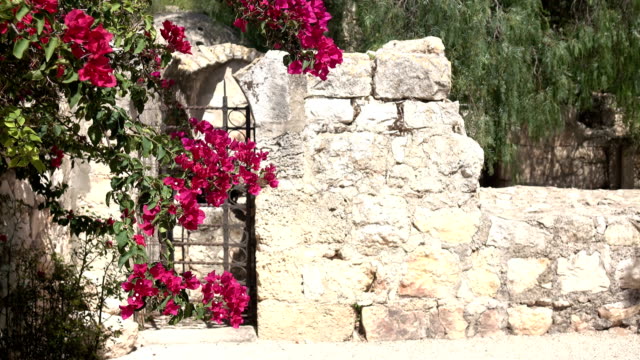 Puerta-pequeña-con-flores-en-patio-de-iglesia
