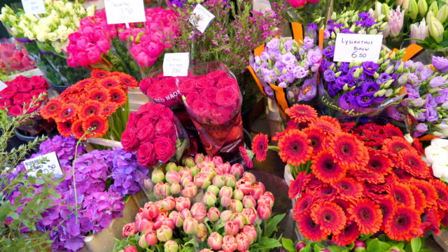Blick-von-der-frischen-Blumen-zum-Verkauf-in-Amsterdam