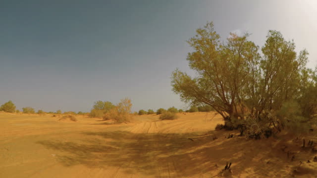 Kamerawagen-in-die-Sahara-Wüste-Fahrer-pov