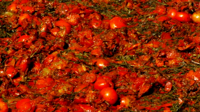 Tomate-triturado,-primer-plano,-Festival-de-tomates