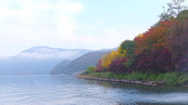 La-isla-de-Nami-en-otoño-Corea-del-sur
