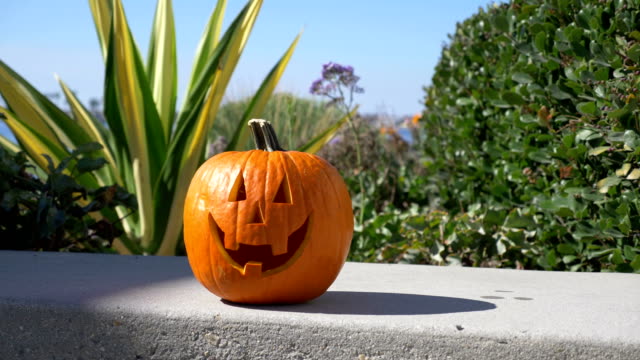 Happy-Halloween-pumpkin-summer-background-in-4K-Slow-motion-60fps