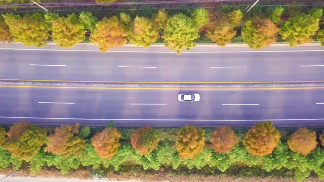 Luftbild-Landschaft-Straße-von-Südkorea-im-Herbst