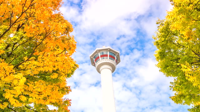 4K-Zeitraffer-Busan-Tower-im-Herbst-von-Südkorea