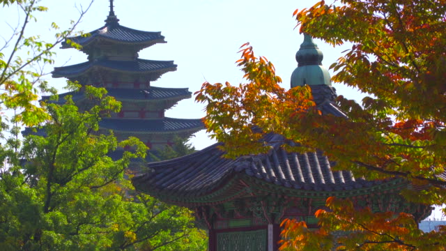 Gyeongbokgung-Palast-im-Herbst-von-Südkorea