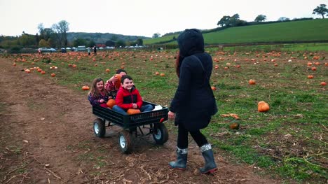 Kinder-Halloween-Kürbis-Bauernhof-Kürbisse-auswählen