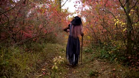 Joven-rosado-reactivos-de-búsqueda-bruja-de-pelo-en-el-místico-bosque-de-otoño.-Preparación-de-Halloween.