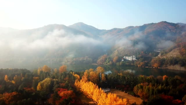 Aerial-view-autumn-of-Nami-island,South-Korea
