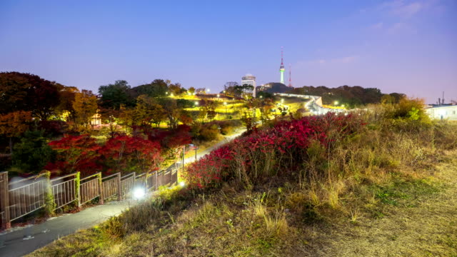 Zeitraffer-des-Herbstes-im-Stadtpark-Namsan-Seoul,-South-Korea