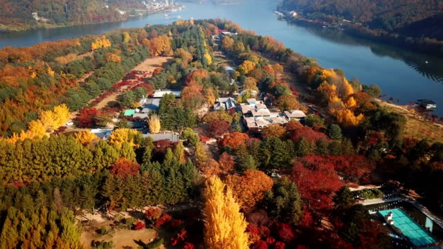 Aerial-view-autumn-of-Nami-island,-South-Korea
