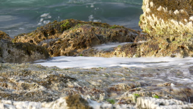 POHANG,-KOREA-frisches-Meerwasser-auf-einem-Felsen