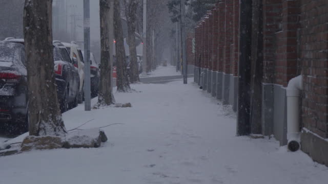 Slow-Motion-der-Schnee-fällt.-Seoul,-Südkorea