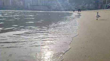 Songdo-Beach,-Busan,-South-Korea-Asia