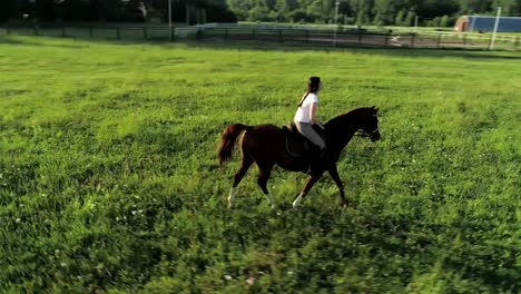 A-young-woman-rides-trotting-a-brown-horse,-orbital-shot,-slow-motion