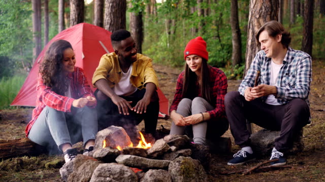 Multiethnische-Gruppe-von-Freunden-Touristen-sitzen-rund-um-Feuer-Reden-und-lachen,-junger-Mann-wirft-Brennholz-in-Flamme.-Camping,-Freundschaft-und-Natur-Konzept.