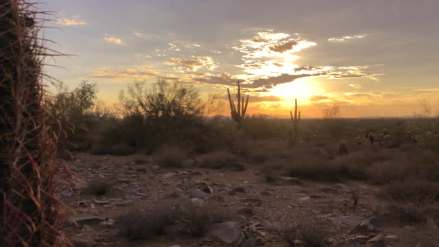Scottsdale-Arizona-desert-sunset