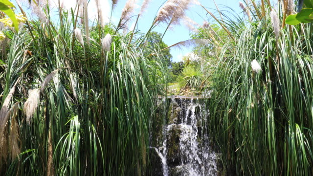 Wasserfall-in-der-tropischen-Vegetation