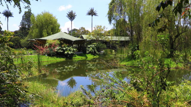 Bogota-Teich-und-Natur-im-botanischen-Garten