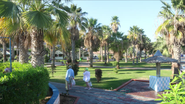 hotel-green-park-4-K-time-lapse-cerca-de-la-ciudad-de-dubai,-Emiratos-Árabes-Unidos