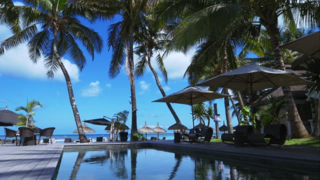 4K-Holiday-pool-&-palm-trees-resort