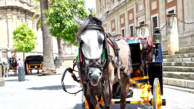 Sevilla-Pferdekutsche