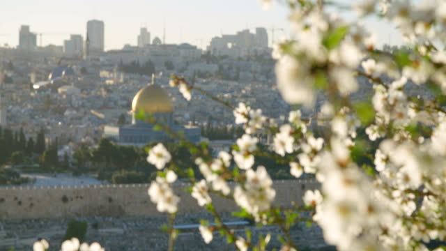 Der-Tempelberg-in-der-Altstadt-Jerusalems-mit-Blumen-im-Vordergrund