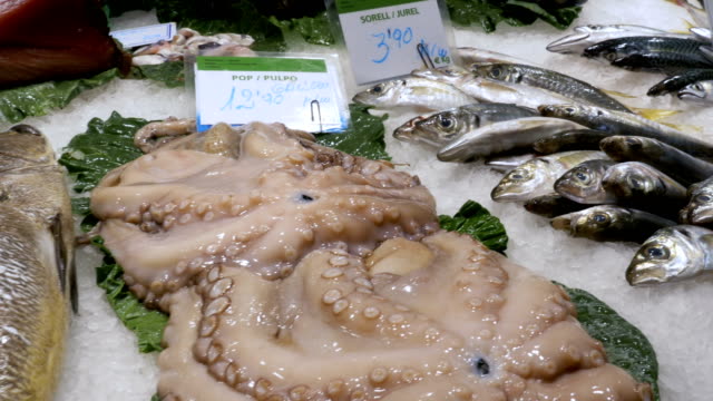 Showcase-with-Fresh-Seafood-in-La-Boqueria-Fish-Market.-Barcelona.-Spain