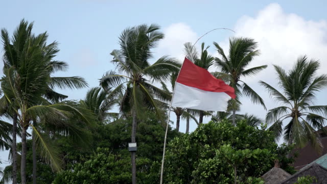 The-flag-of-Indonesia-develops-on-wind-against-the-background-of-palm-trees-on-the-tropical-beach