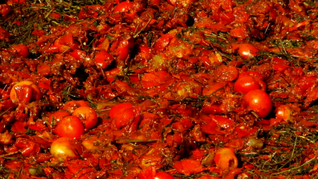 Tomate-triturado,-primer-plano,-Festival-de-tomates