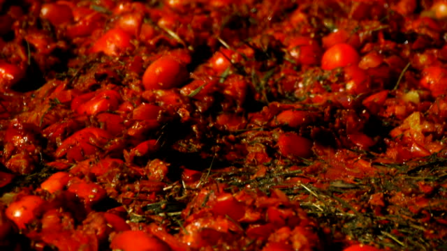 Zerkleinerten-Tomaten,-Nahaufnahme,-Festival-der-Tomaten