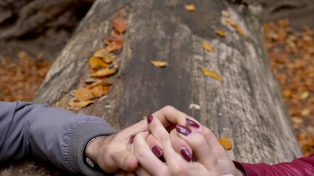 couple-makes-peace-by-holding-hands-on-a-tree-trunk-in-the-forest