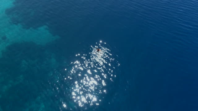 Luftaufnahmen-von-einem-Mädchen-schwimmen-im-blauen-Meer